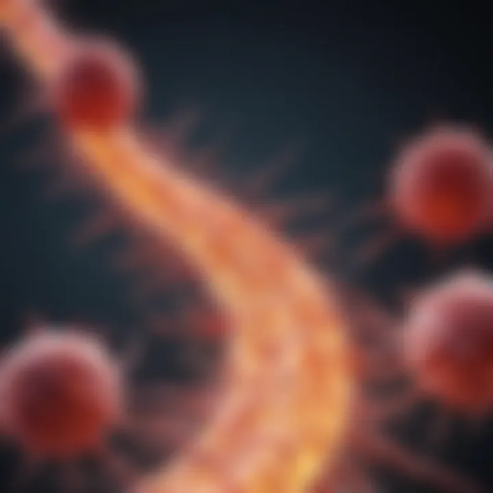 Diagram showing the pathways of cancer cell spread to the skin.