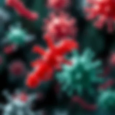 Bacterial vs. Viral Infections Comparison of bacterial and viral infections