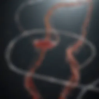 Genetic Data Analysis Visualization Visualization of genetic data analysis using DNA Strider