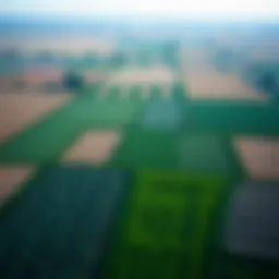 Aerial view of diverse agricultural fields showcasing various crops
