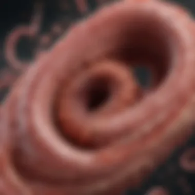 Causes of Acute Colitis Diagram illustrating various causes of acute colitis.