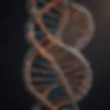 DNA double helix structure representing genetic information