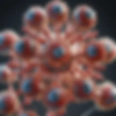 Structure of Anti-App Antibodies Graphical representation of anti-app antibodies structure