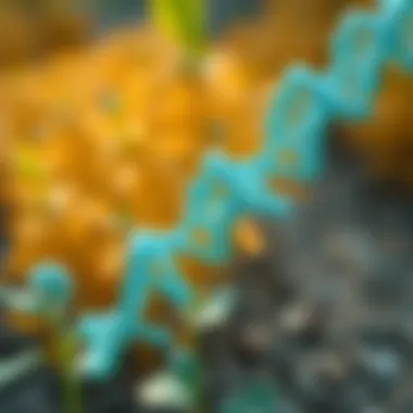 Transforming Agriculture through Synthetic DNA Visual depiction of synthetic DNA applications in agriculture.