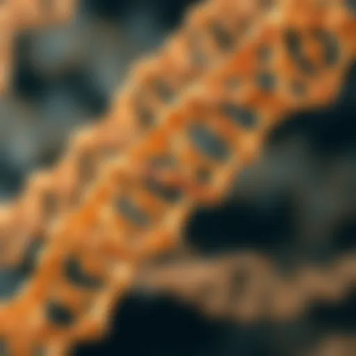 Illustration of synthetic DNA strands showcasing their structure and potential.