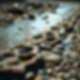 Diverse Bed Forms in Natural Water Systems Diverse bed forms in a riverbed