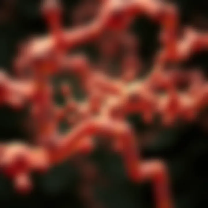 Bile acids and metabolic regulation