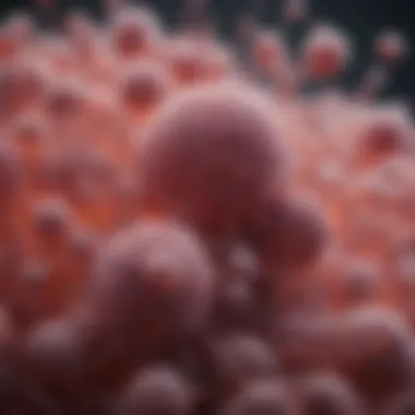 Cellular Integration in Tissue Constructs Cellular components for synthetic tissues