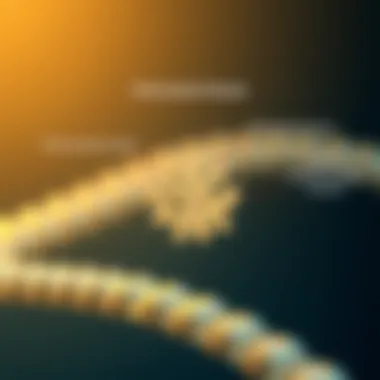 Schematic representation of biotinylated beads highlighting their unique binding properties