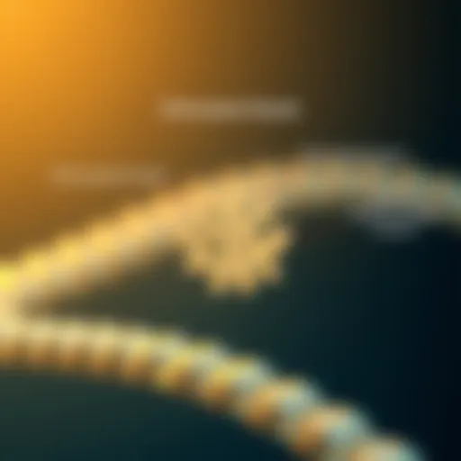 Schematic representation of biotinylated beads highlighting their unique binding properties