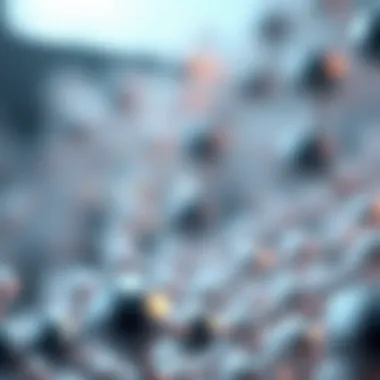 Diagram explaining the synthesis of biotinylated beads and their structural characteristics