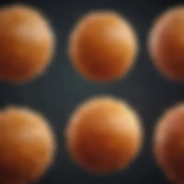 A graphic representation showing the different stages of bladder cancer progression.