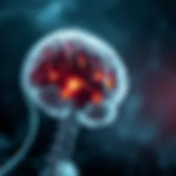 Illustration of brain stem anatomy highlighting tumor locations