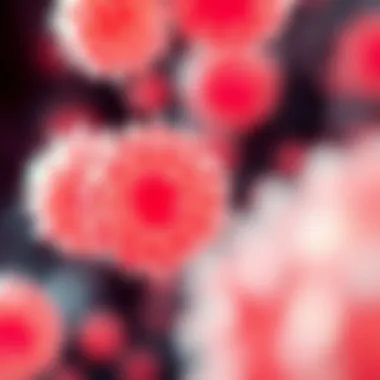 Diagram illustrating the role of epithelial cells in various diseases.