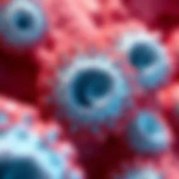 Microscopic view of epithelial cell layers demonstrating their structural diversity.