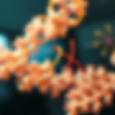 FCR Binding Interactions Diagram illustrating FCR binding interactions