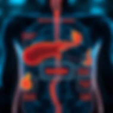Bilirubin Metabolism Diagram Diagram illustrating the bilirubin metabolism and its effects on the body