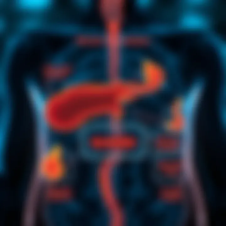 Bilirubin Metabolism Diagram Diagram illustrating the bilirubin metabolism and its effects on the body