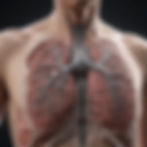 Illustration of advanced lung imaging techniques