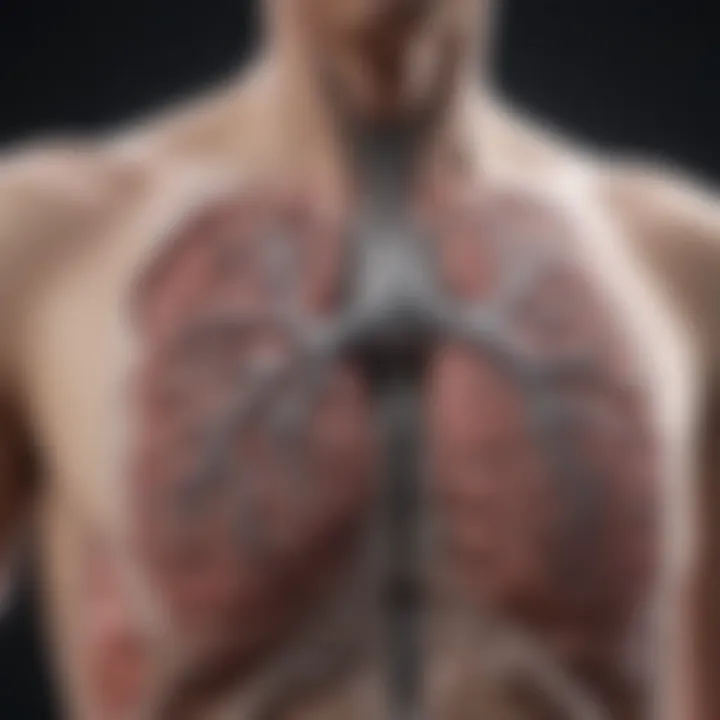 Illustration of advanced lung imaging techniques