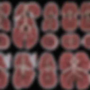 Comparison of different lung imaging modalities