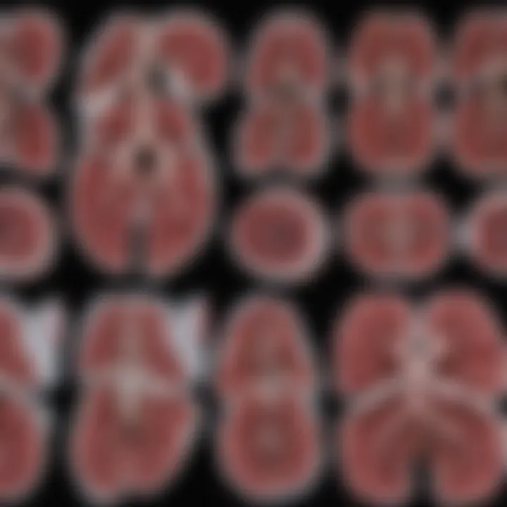 Comparison of different lung imaging modalities