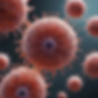 Advancements in Macrophage Research and Therapy Recent advancements in macrophage research and therapy