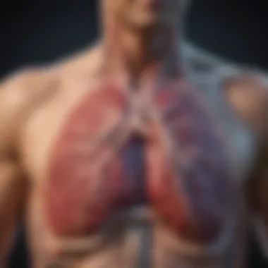 The Connection Between Pancreatic and Lung Cancer A detailed infographic showcasing the relationship between pancreatic and lung cancer, highlighting risk factors and symptoms.