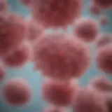 Illustration of probiotics interacting with liver cells