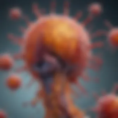 Immune Response in Histiocytic Disorders An illustration of the immune system response in histiocytic disorders