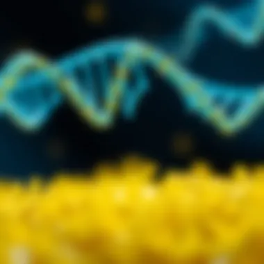 Comparative Analysis: Conventional vs. Scrambled siRNA Comparative analysis of conventional siRNA and scrambled siRNA