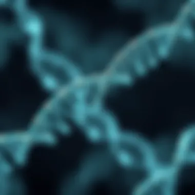 Mechanism of RNA Interference with Scrambled siRNA Mechanism of RNA interference involving scrambled siRNA