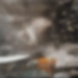 Diagram illustrating the pharmacodynamics of semaglutide