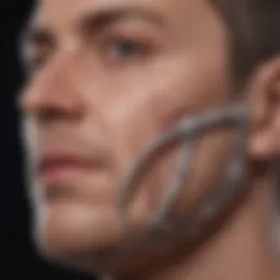 Illustration of the Seymour II Wound Care Model framework