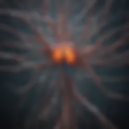 An intricate depiction of neural pathways highlighting pain signals.