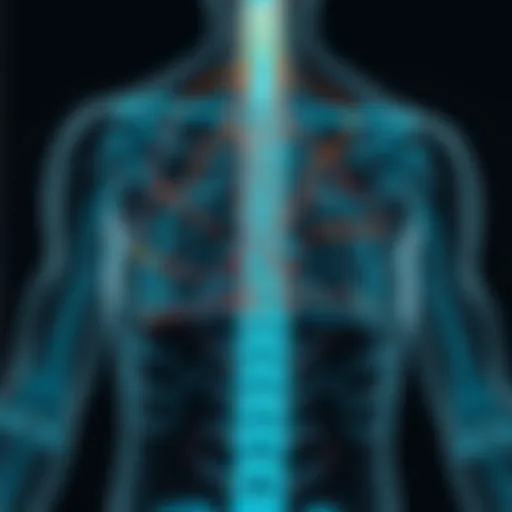 Diagram illustrating the neurological pathways affected by spinal ataxia