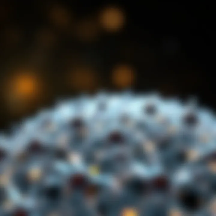 The Future of Nanobiotechnology Future prospects of nanobiotechnology