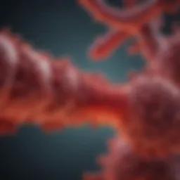 Diagram illustrating the correlation between thrombocytopenia and colon cancer progression