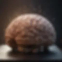 Visualization of brain activity during hypnosis
