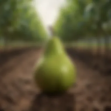 Artistic representation of sustainable agriculture highlighting the pear of the earth