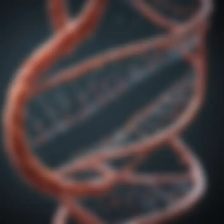 A diagram illustrating the process of genetic engineering with DNA strands