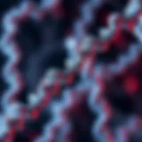 Illustration of telomeres at the ends of chromosomes