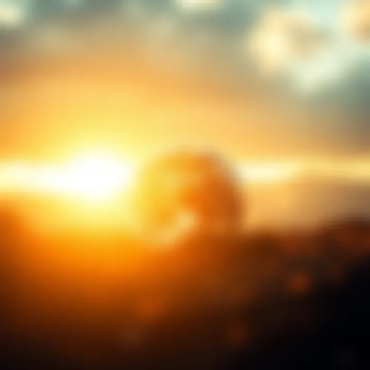 Exploring the Interconnection Between Earth and Humanity Summary
