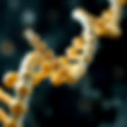 Illustration depicting the molecular structure of DNA with primers binding