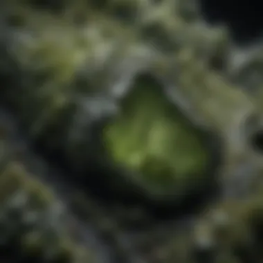 The Unique Texture of Moldavite Close-up of moldavite showcasing its unique texture and color variations