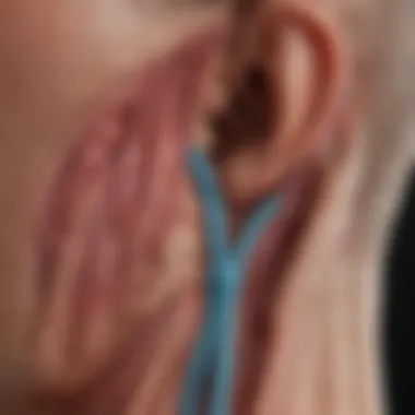 Anatomy of the Pituitary Gland and Auditory Pathways Anatomical diagram of the pituitary gland and its relation to auditory pathways