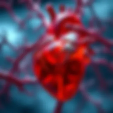 Heart illustration representing cardiovascular health