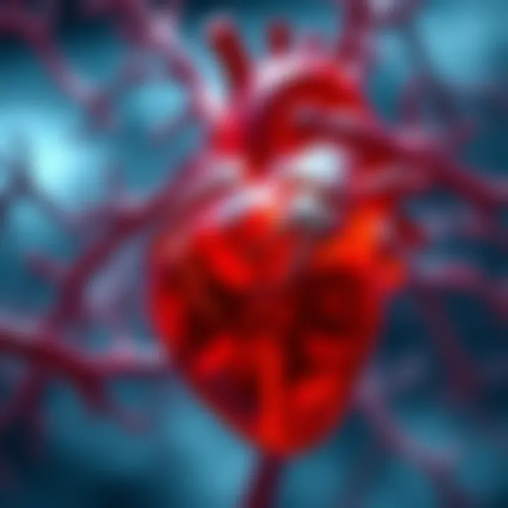 Heart illustration representing cardiovascular health