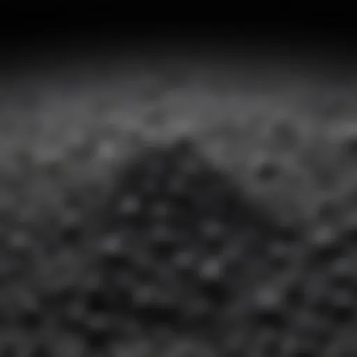 A close-up view of humic acid granules showcasing their texture and structure.