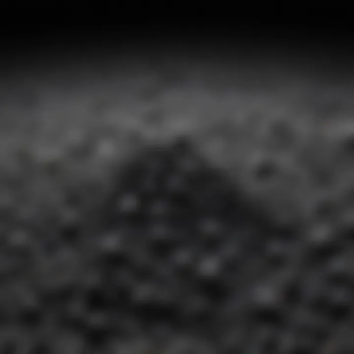 A close-up view of humic acid granules showcasing their texture and structure.